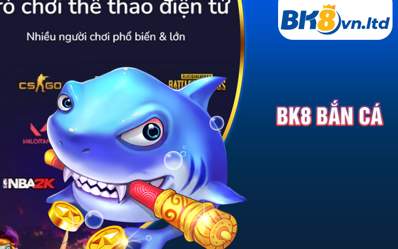 bk8 Bắn Cá